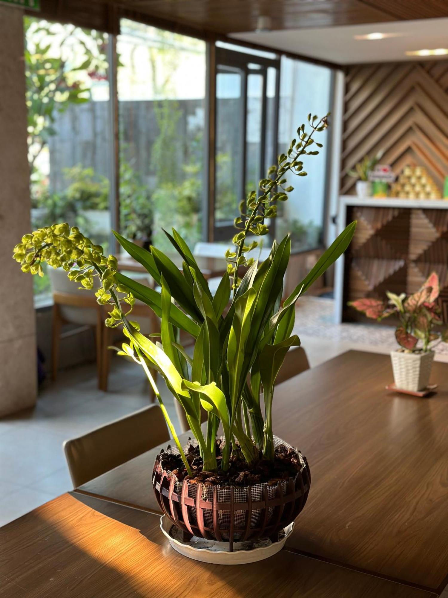 Ponte Boutique Da Nang